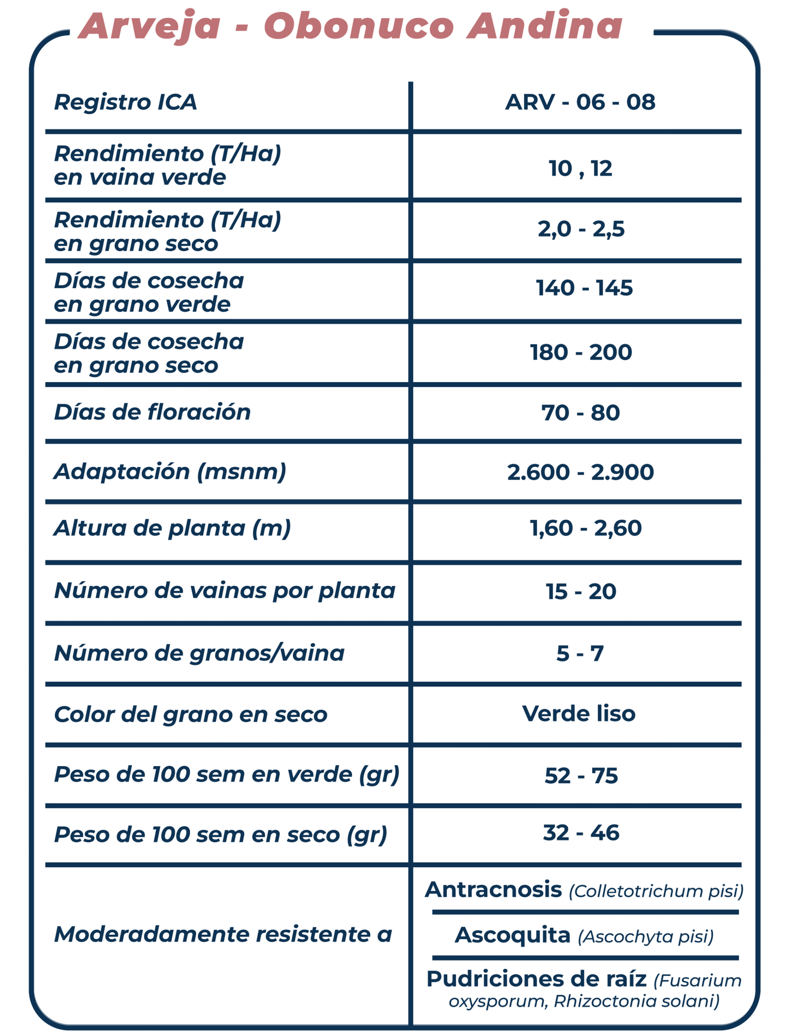 Ficha técnica Arveja Obonuco Andina