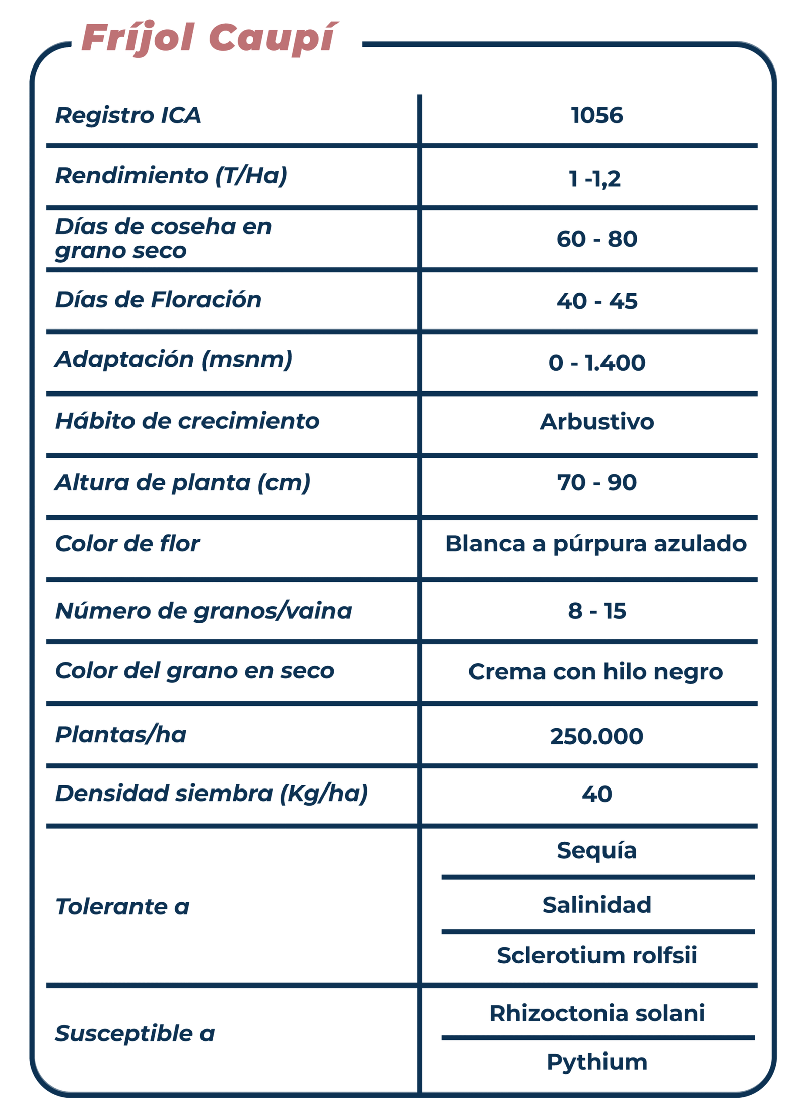 Ficha técnica Fríjol Caupí