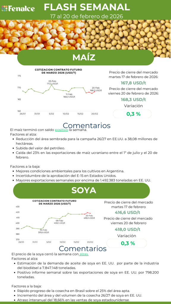 Portada Flash semanal