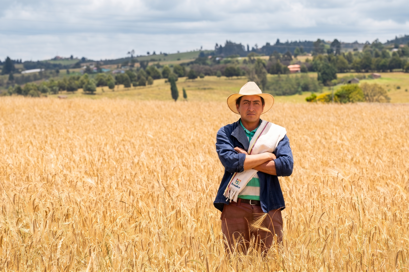 Fenalce advierte sobre el peligro de la aprobación de un arancel al 0 % para la cebada, que llevaría a la desaparición de este cereal en el país