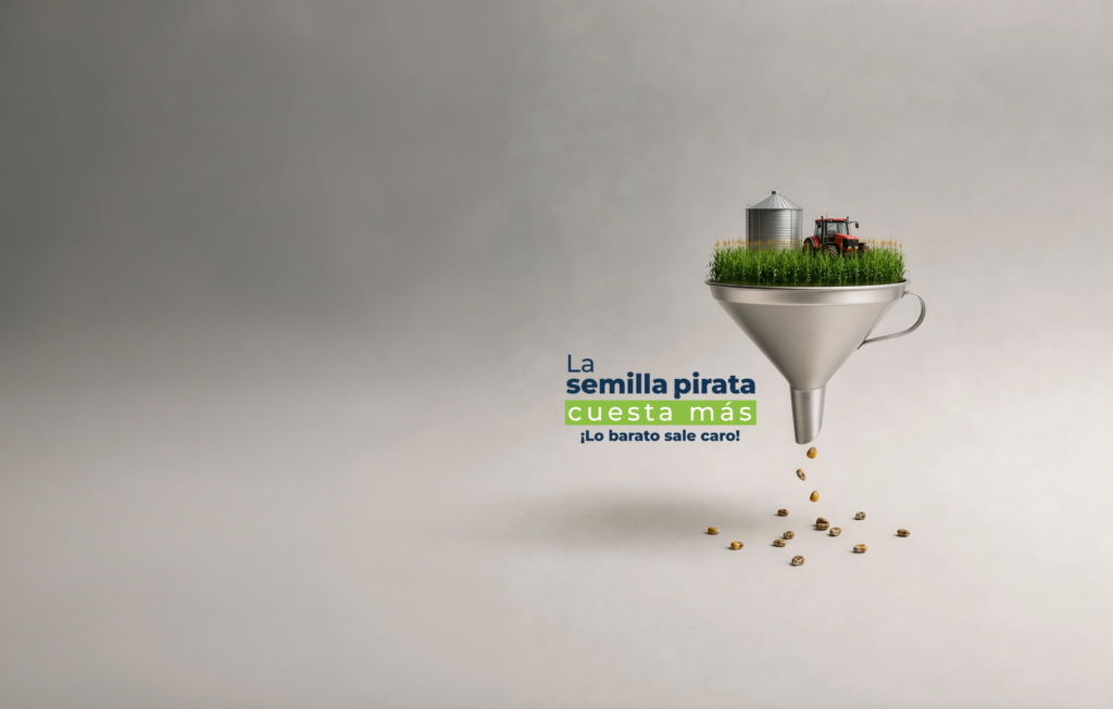 Semilla autorizada y siembra oportuna: las claves contra la ilegalidad y el Fenómeno de El Niño
