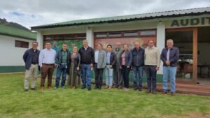 Inició la conformación de CENIGRANOS & Orinoquía
